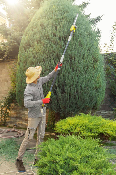 Waynesboro, PA Tree Removal and Landscaping Services Company